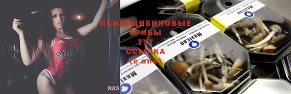 шишки Армянск