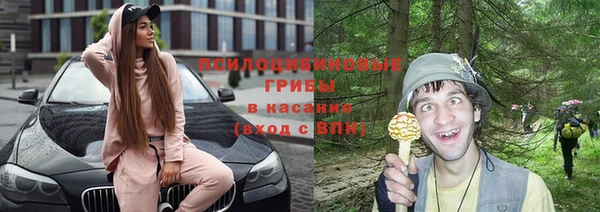 дмт Арсеньев